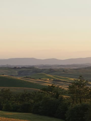 Rolling hills at sunset