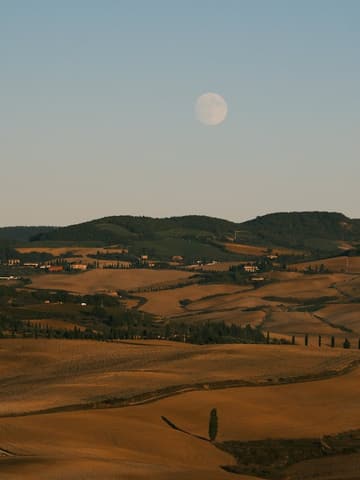Rolling hills under a pale moon